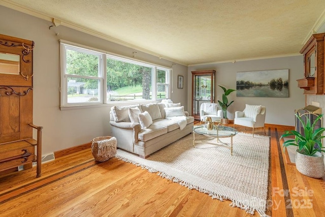 living room with a textured ceiling, light hardwood / wood-style flooring, and ornamental molding