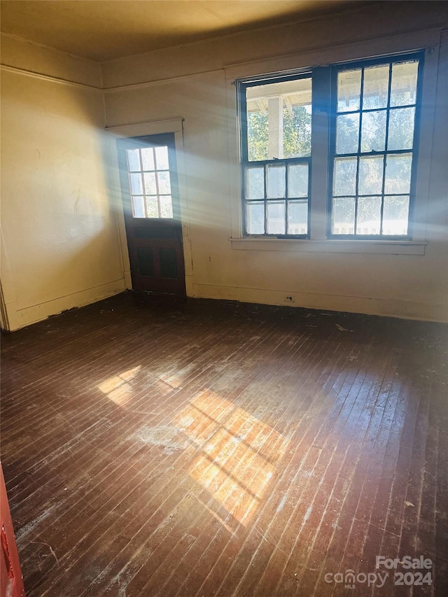 spare room featuring plenty of natural light and dark wood-type flooring