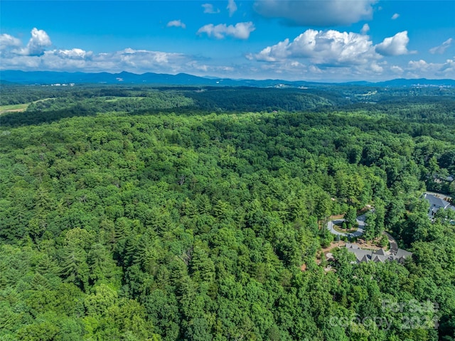 128 Mirehouse Run Unit 144, Asheville NC, 28803 land for sale