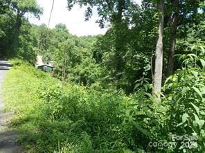 LOT30 Coon Creek Rd Unit 30, Franklin NC, 28734 land for sale