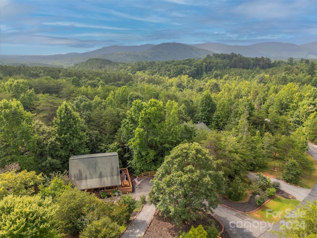 bird's eye view with a mountain view