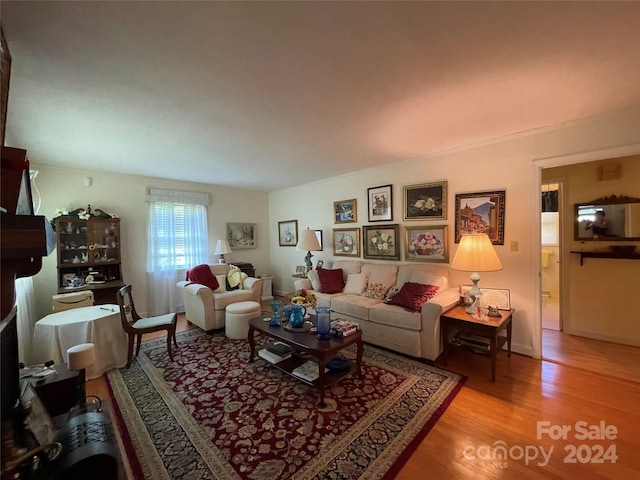 living room featuring light hardwood / wood-style floors