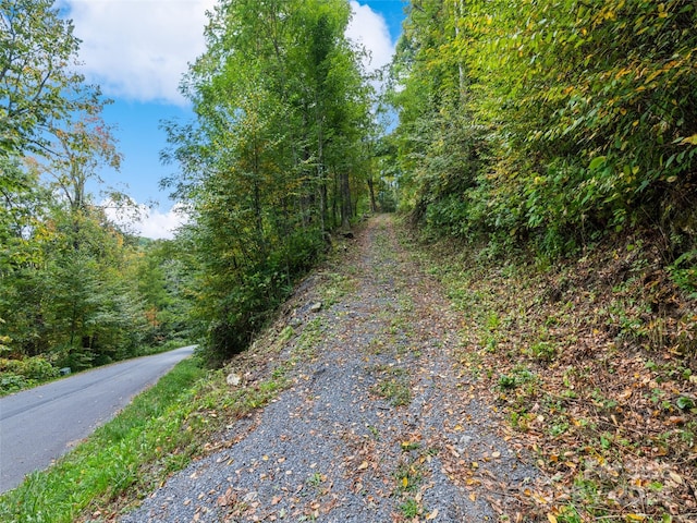 Listing photo 2 for LOTE2 Unula Loop Unit E-2, Maggie Valley NC 28751