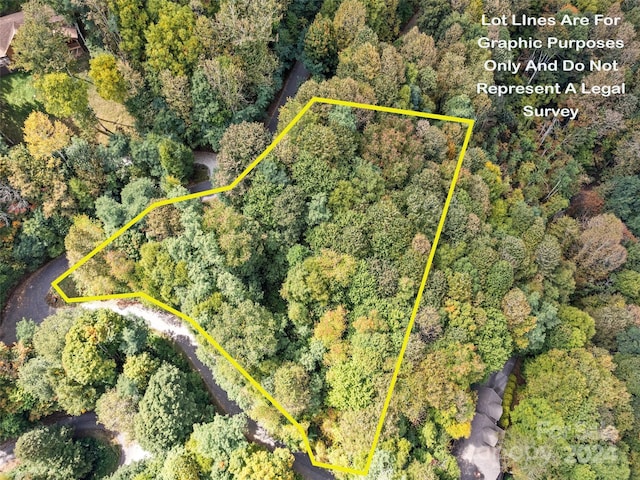 LOTC25 Asgi Trl Unit C-25, Maggie Valley, NC 28751