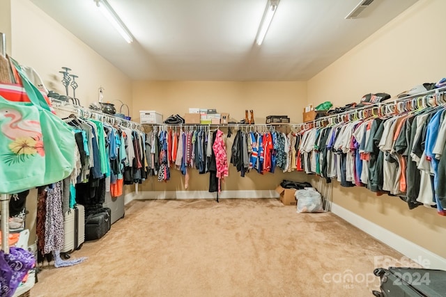 spacious closet with carpet floors