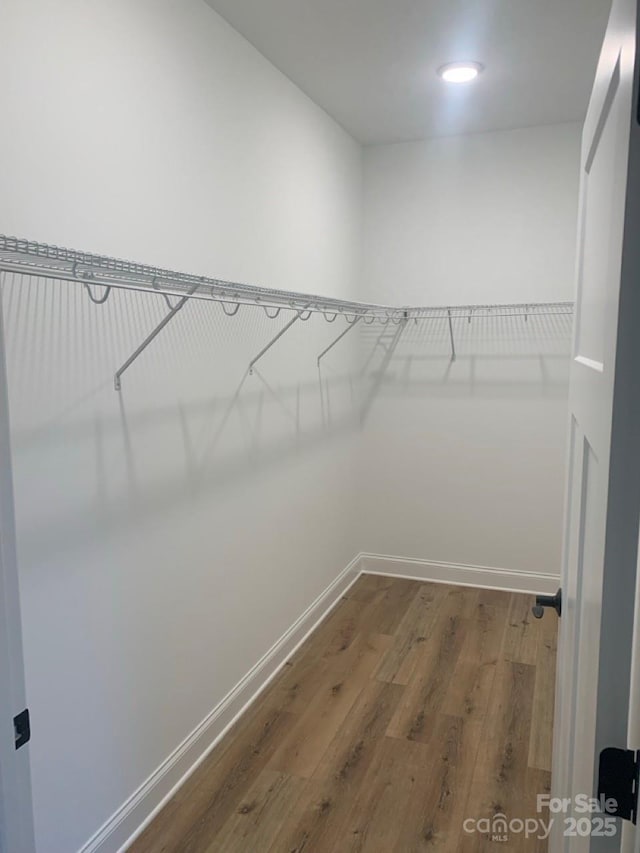 walk in closet featuring hardwood / wood-style floors