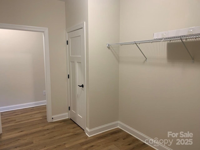 walk in closet featuring dark hardwood / wood-style floors