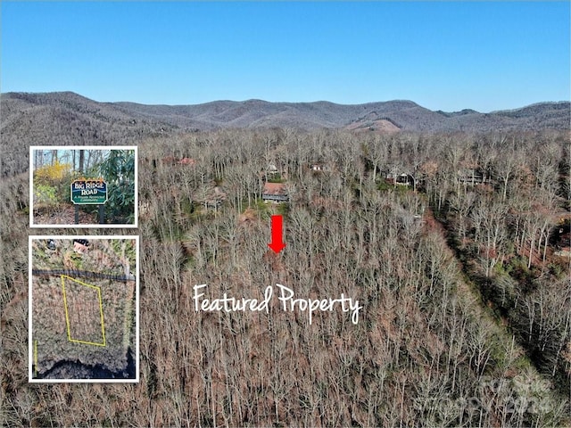 TBD Big Ridge Rd Unit 104, Burnsville NC, 28714 land for sale