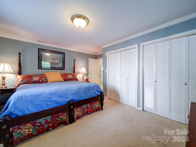 carpeted bedroom with multiple closets and crown molding