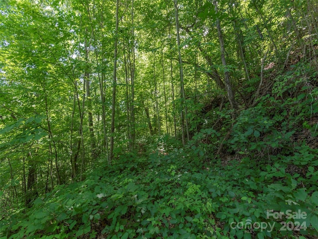 Listing photo 2 for 00 Eagles Nest Rd, Waynesville NC 28786