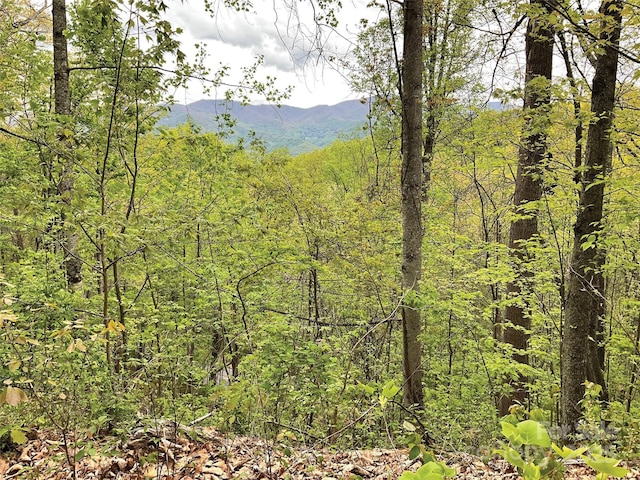 00 Eagles Nest Rd, Waynesville NC, 28786 land for sale