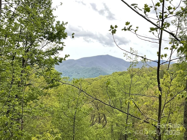 Listing photo 2 for 00 Eagles Nest Rd, Waynesville NC 28786