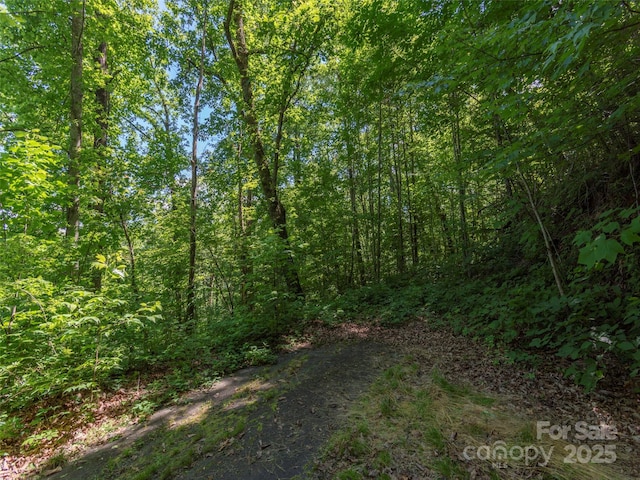 Listing photo 3 for 00 Eagles Nest Rd, Waynesville NC 28786