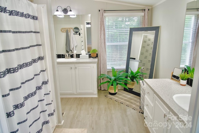 bathroom with wood-type flooring and vanity