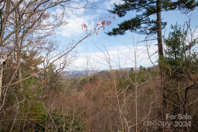 Listing photo 3 for LOT171 Autumn Rdg Unit 171, Lenoir NC 28645