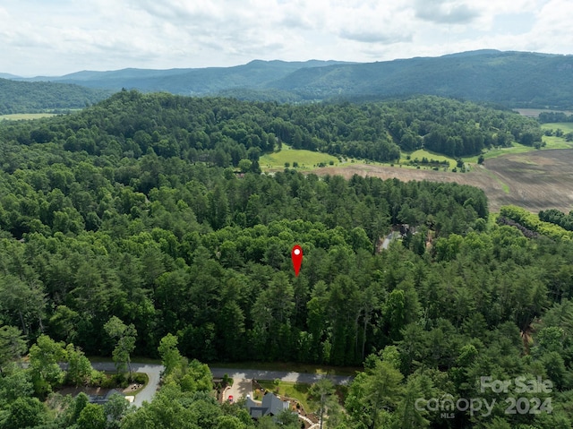 41 Mountain Brook Trl Unit 41, Brevard NC, 28712 land for sale