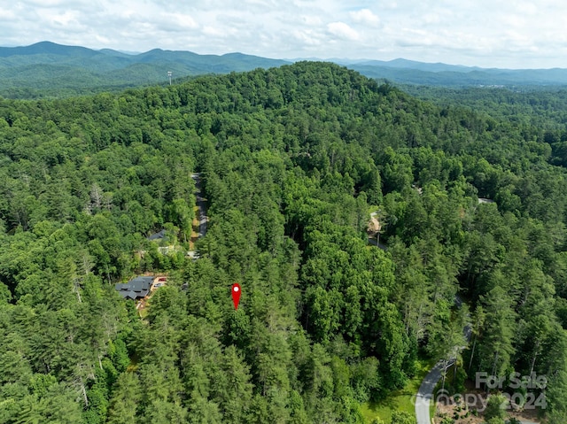 Listing photo 2 for 41 Mountain Brook Trl Unit 41, Brevard NC 28712