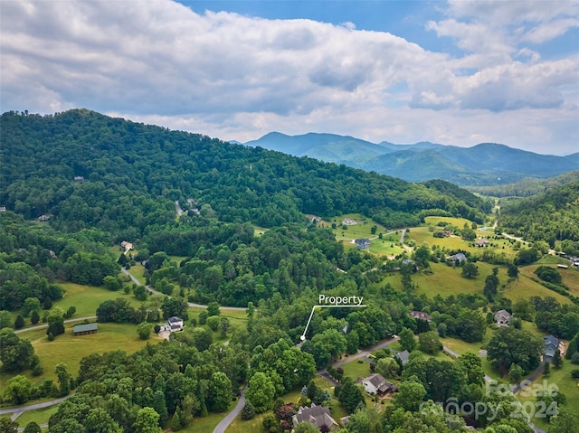 aerial view with a mountain view