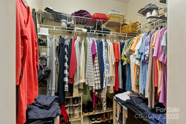 21 Farm Valley Ct, Weaverville, NC 28787 - view of spacious closet