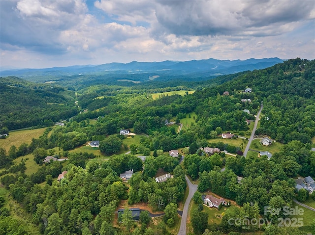 21 Farm Valley Ct, Weaverville, NC 28787 - view of property location featuring a mountainous background and a heavily wooded area