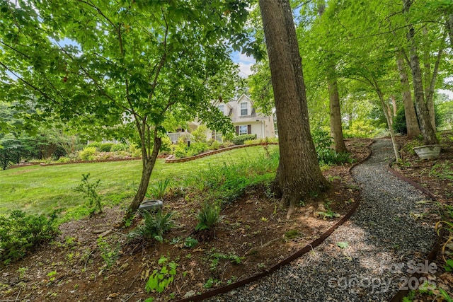 21 Farm Valley Ct, Weaverville, NC 28787 - view of grassy yard