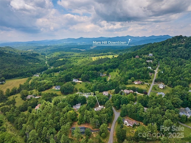 21 Farm Valley Ct, Weaverville, NC 28787 - aerial overview of property's location featuring a mountain backdrop, a heavily wooded area, and property parcel outlined