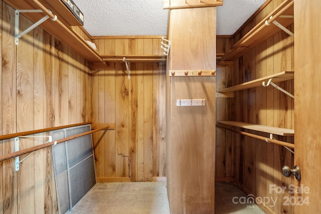 spacious closet featuring carpet