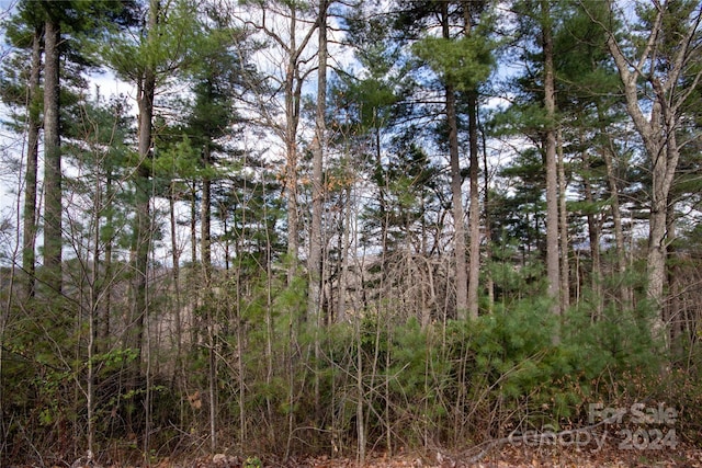 LOT172 Autumn Rdg Unit 172, Lenoir NC, 28645 land for sale