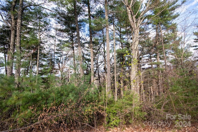 Listing photo 3 for LOT172 Autumn Rdg Unit 172, Lenoir NC 28645