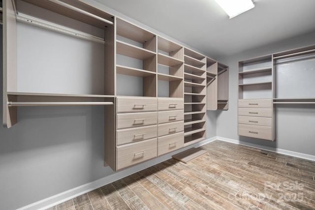 walk in closet featuring hardwood / wood-style flooring