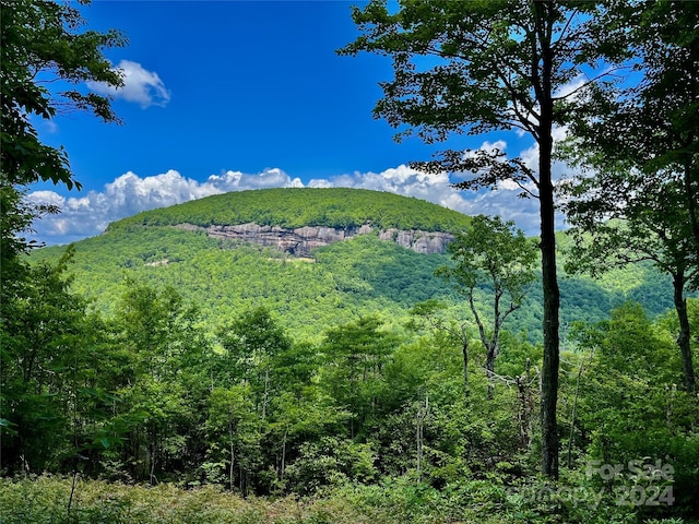 MR16 Meadow Ridge Rd, Lake Toxaway NC, 28747 land for sale