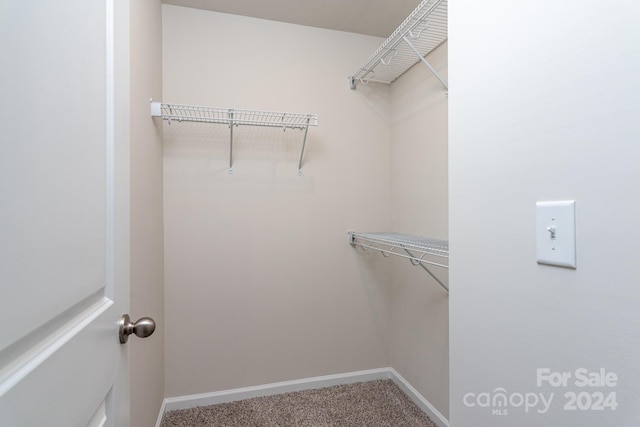 walk in closet with carpet floors