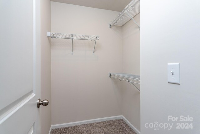 3820 Shider Ln, Kannapolis, NC 28081 - walk in closet featuring carpet