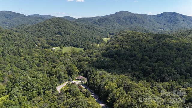 910 Morgan Hill Rd, Black Mountain NC, 28711 land for sale