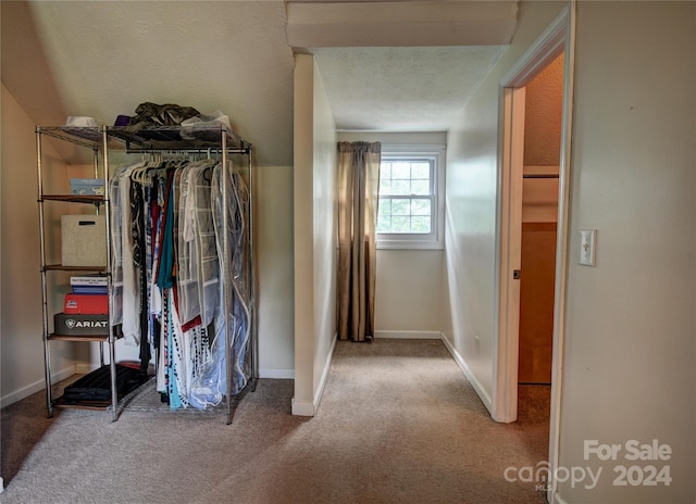 interior space featuring carpet flooring