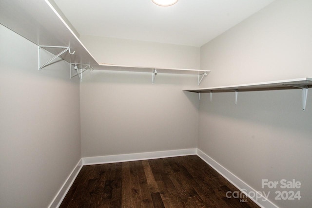 walk in closet with hardwood / wood-style flooring