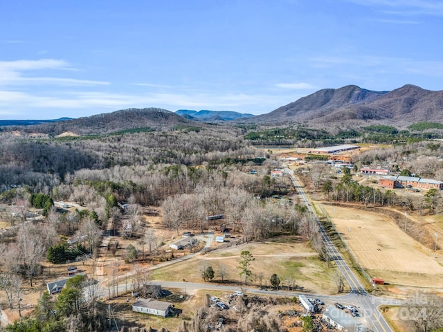 aerial view with a mountain view