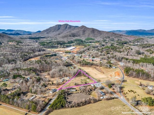 birds eye view of property with a mountain view