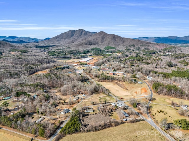 birds eye view of property featuring a mountain view