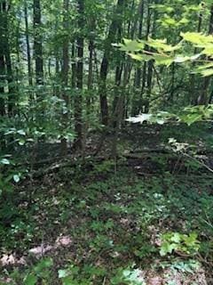 Listing photo 2 for 0 Cherokee Cir Lot 11, Tryon NC 28782