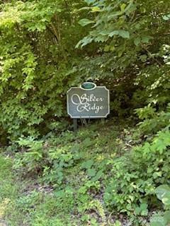 0 Cherokee Cir Lot 11, Tryon, NC 28782