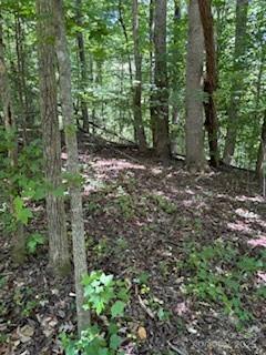 0 Cherokee Cir Lot 11, Tryon, NC 28782