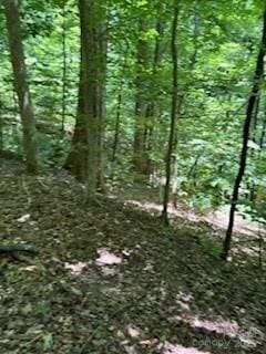 0 Cherokee Cir Lot 11, Tryon, NC 28782