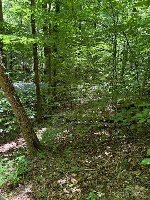 0 Cherokee Cir Lot 11, Tryon, NC 28782