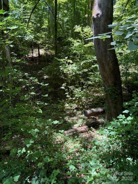 0 Cherokee Cir Lot 11, Tryon, NC 28782