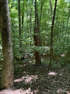 0 Cherokee Cir Lot 11, Tryon, NC 28782