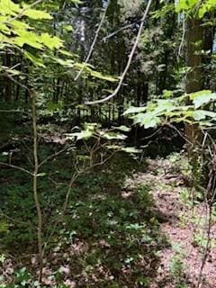 0 Cherokee Cir Lot 11, Tryon, NC 28782