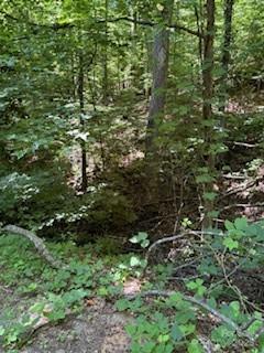 0 Cherokee Cir Lot 11, Tryon, NC 28782