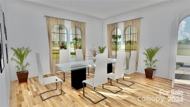 dining area with light hardwood / wood-style flooring