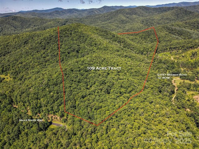 999 Davey Branch Rd, Horse Shoe, NC 28742